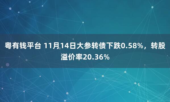 粤有钱平台 11月14日大参转债下跌0.58%，转股溢价率20.36%