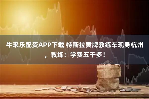 牛来乐配资APP下载 特斯拉黄牌教练车现身杭州，教练：学费五千多！