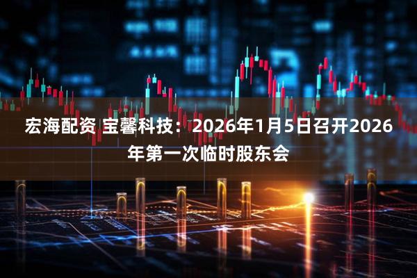 宏海配资 宝馨科技：2026年1月5日召开2026年第一次临时股东会