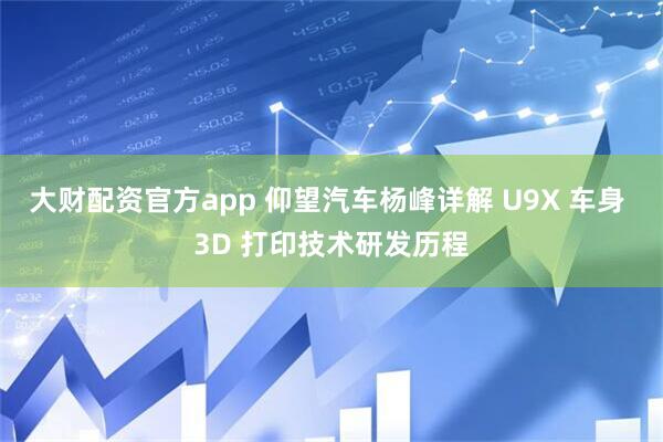 大财配资官方app 仰望汽车杨峰详解 U9X 车身 3D 打印技术研发历程
